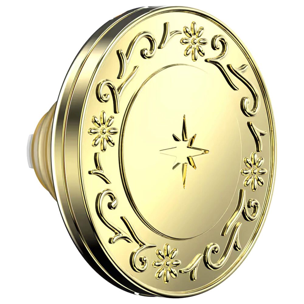 PopSockets MagSafe Circle PopGrip in Enamel Locket of the Fae, , large