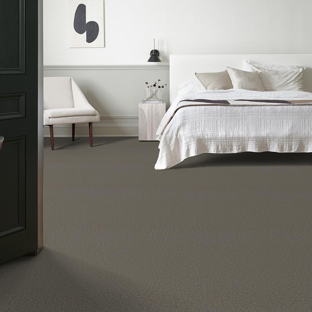 Anderson Tuftex Elegant Beauty Carpet in Lunar Rock, , large