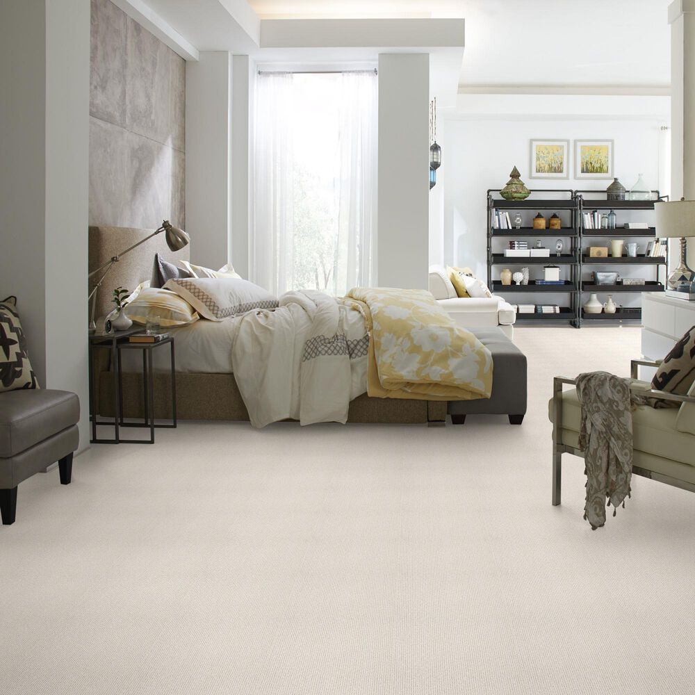 Anderson Tuftex Tranquil Waters Carpet in Awaken, , large