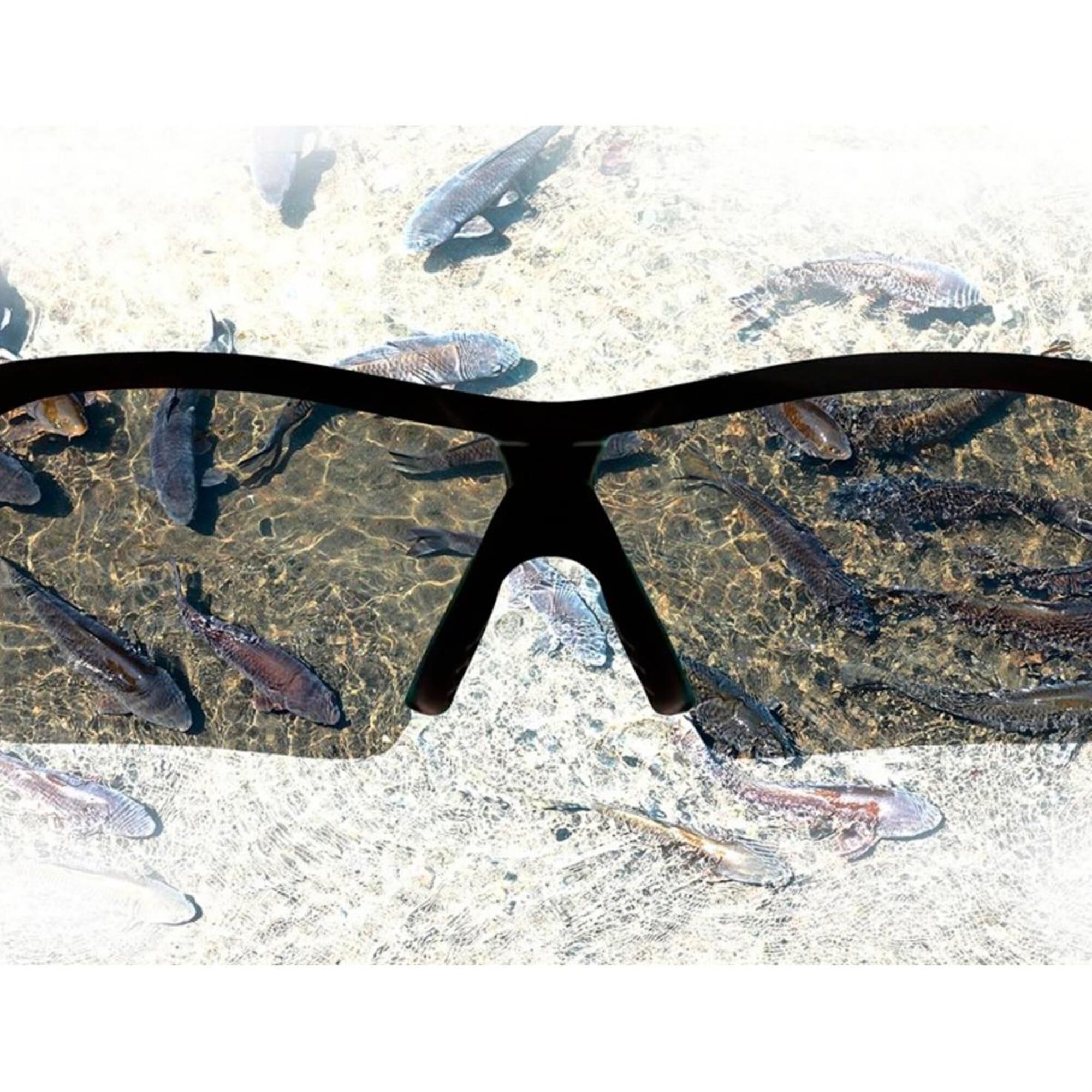 Battle vision 2025 atomic beam sunglasses