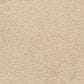 Masland Roadster Carpet in Pretty, , large