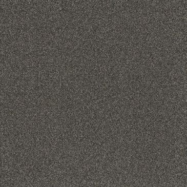 Dream Weaver Titan III Carpet in Beacon Hill, , large