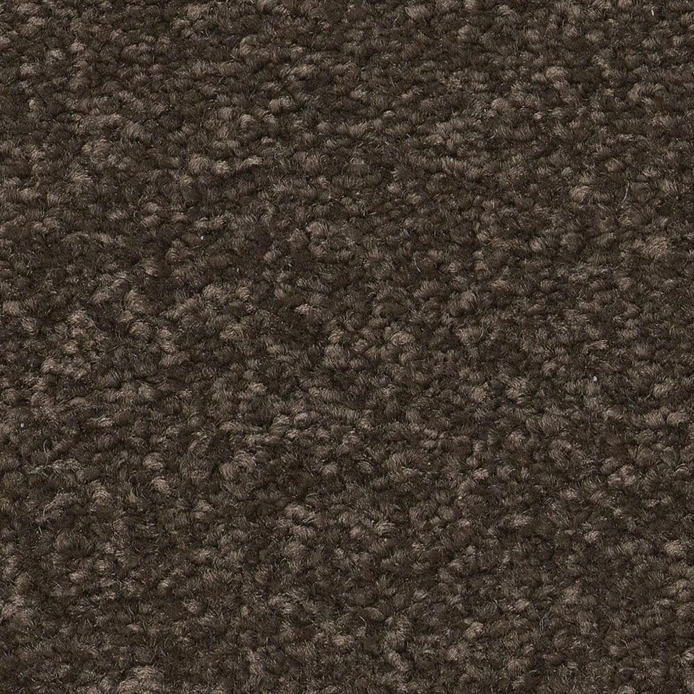 Shaw Awaken Spirit II 12" Carpet in Wood Grain, , large