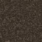 Shaw Awaken Spirit II 12" Carpet in Wood Grain, , large