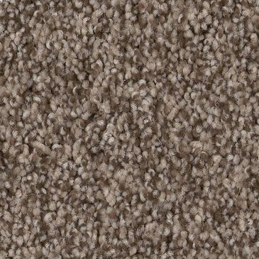 Anderson Tuftex Terra Nova Carpet in Palm Desert, , large