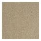 Shaw Phenomenal Carpet in Field Stone, , large