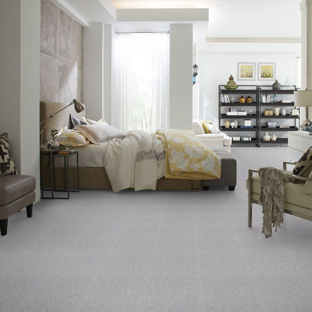 Shaw Simply The Best Make It Mine Carpet in Sterling, , large
