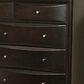 at HOME Dayton 9-Drawer Dresser and Mirror in Cappuccino, , large