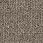 Shaw Sierra Vista Carpet in Arrowhead, , large