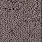 Anderson Tuftex Discover Carpet in Walnut, , large