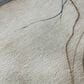 Dalyn Rug Company Odyssey OY322 Beige 8" x 10" Area Rug, , large