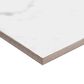 MS International Pietra Carrara  Rectangle 12" x 24" Porcelain Tile, , large