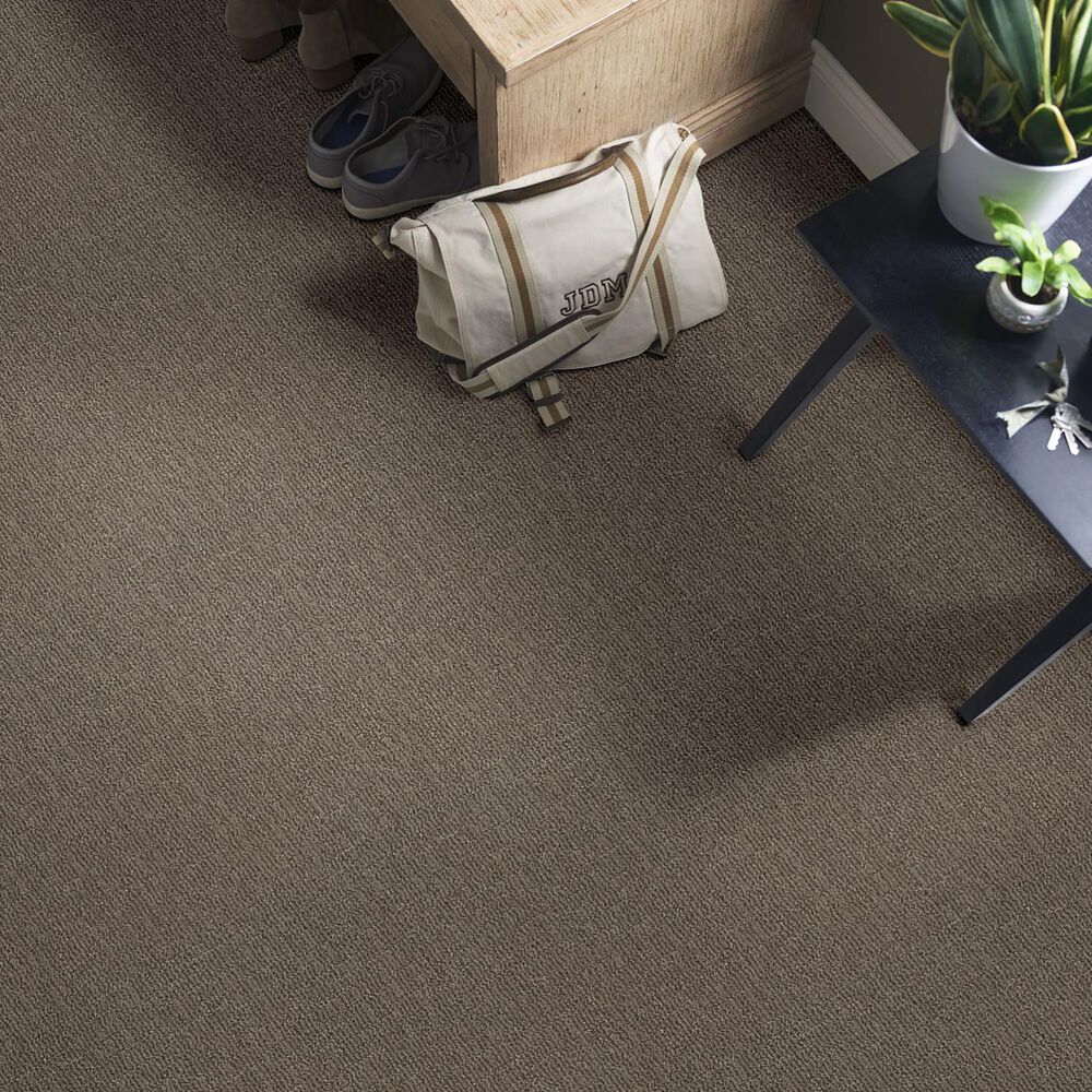 Anderson Tuftex Nomad Carpet in Mustang, , large