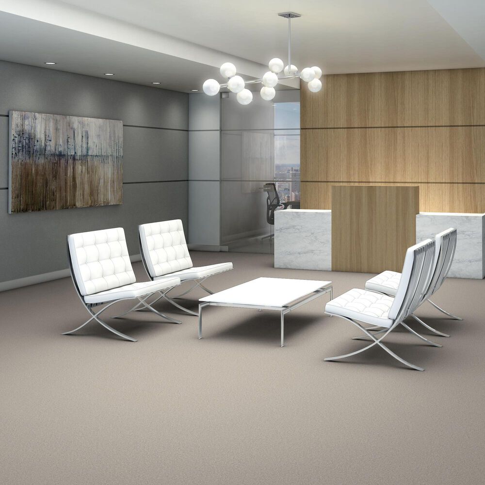 Shaw You Got This III Carpet in Warm Light, , large