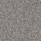 Lexmark Carpet Mills Intrigue Carpet in Compel, , large