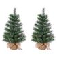 The Gerson Company 30" Hard Needle Pine Tree with Burlap Bag in Green (Set of 2), , large