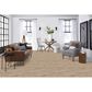 Masland Medley Carpet in Sculpted, , large