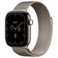 Apple Watch Series 12 (GPS + Cellular) 42mm Natural Titanium Case with Natural Milanese Loop (Pre-Order), , large