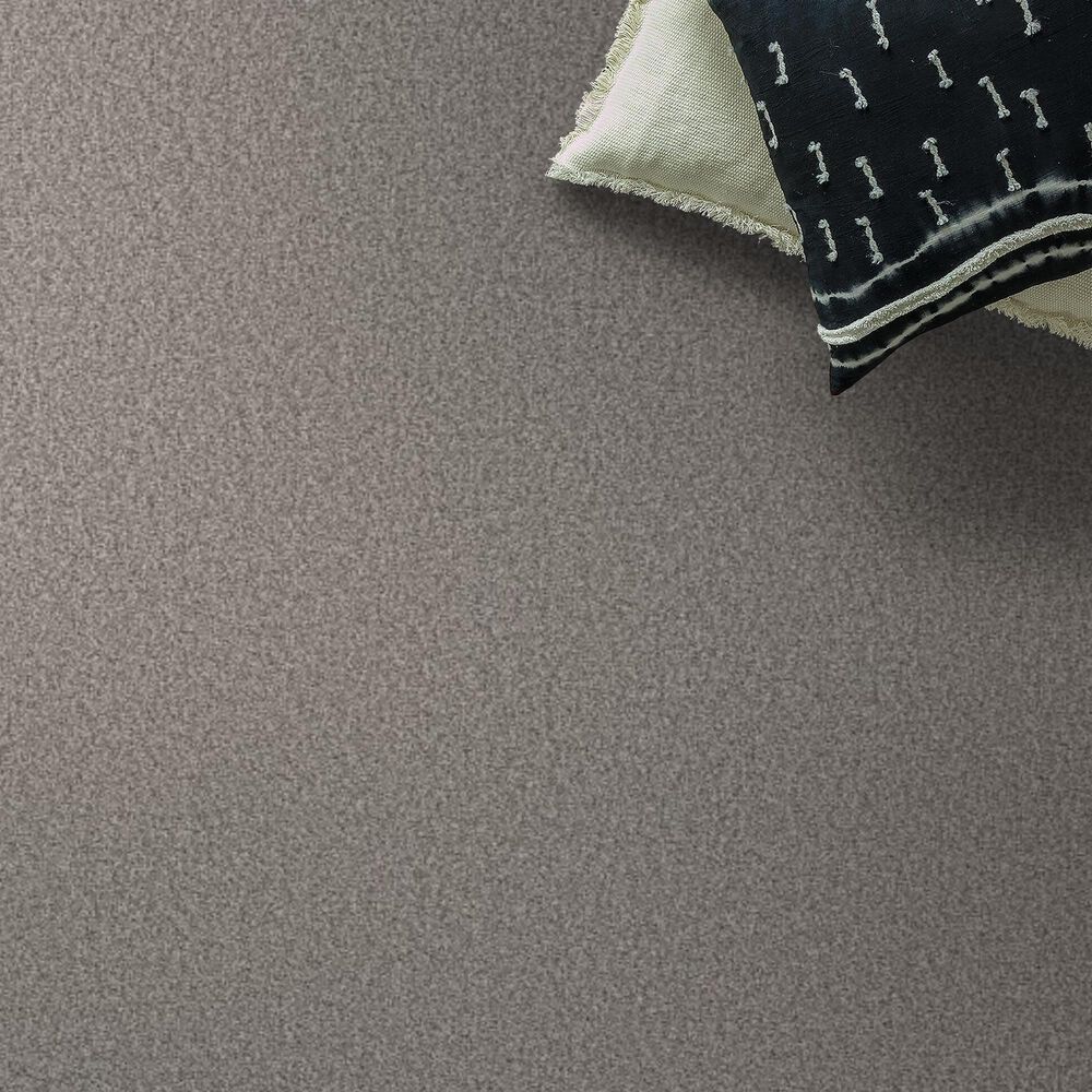 Shaw Tonal Comfort I Carpet in Sunday Stroll, , large