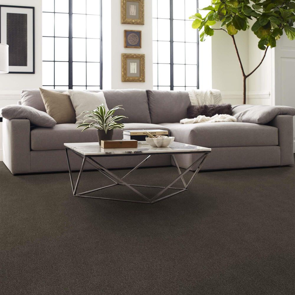 Shaw Boundless I Carpet in Chestnut Ridge, , large