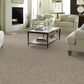 Anderson Tuftex Caress Free Spirit Carpet in Baltic Stone, , large