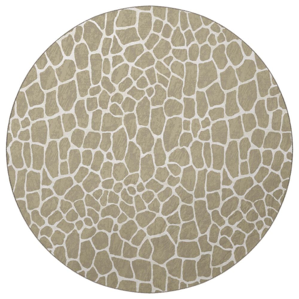 Dalyn Rug Company Akina AK4 8" Round Stone Area Rug, , large