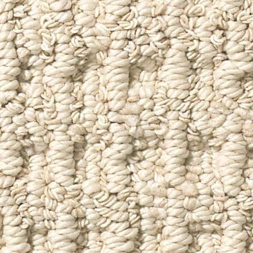 Anderson Tuftex Truly Delightful Carpet in Granola, , large