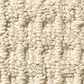 Anderson Tuftex Truly Delightful Carpet in Granola, , large