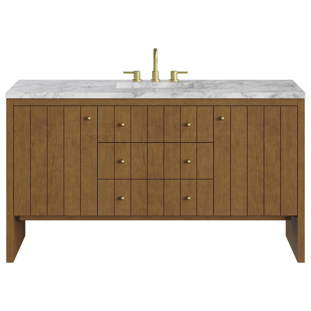 James Martin Hudson 60" Single Bathroom Vanity in Honey Oak with 3 cm Carrara Marble Top and Rectangular Sink, , large