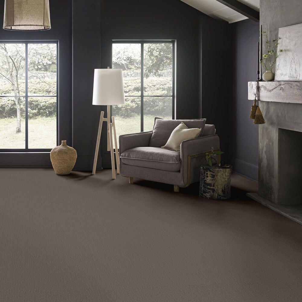 Anderson Tuftex Adair Carpet in Formal Affair, , large