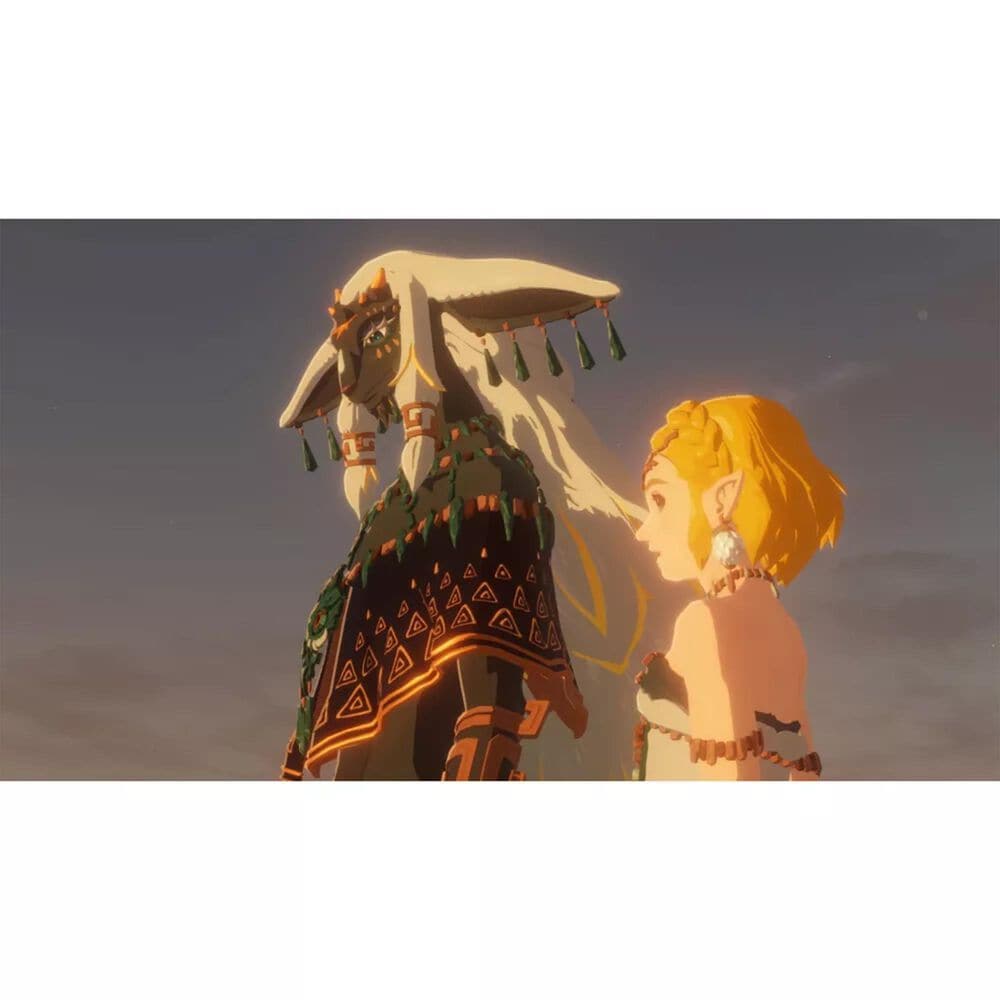 Hyrule Warriors: Age of Imprisonment - Nintendo Switch 2, , large