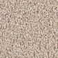Shaw Grand Influence II Carpet in Satin Shimmer, , large
