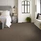 Shaw Yes You Can II Carpet in Mission Ridge, , large