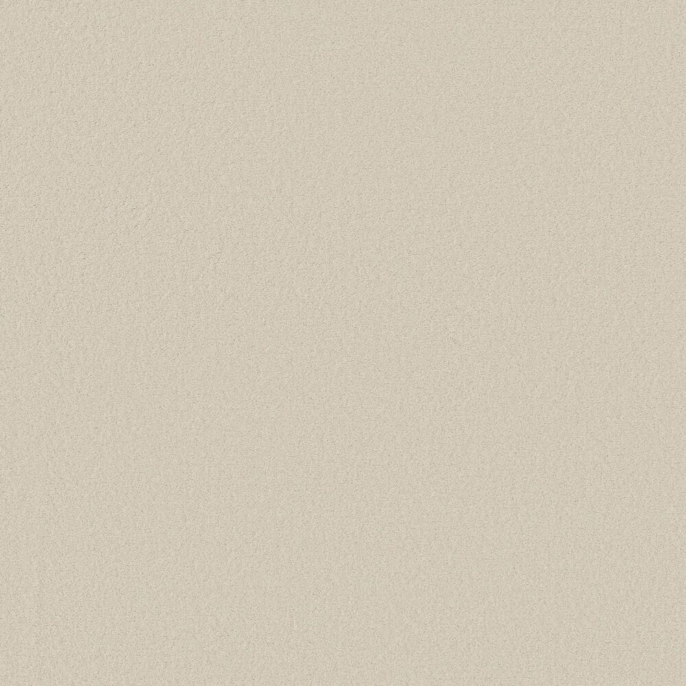 Anderson Tuftex Finery Carpet in Alabaster, , large