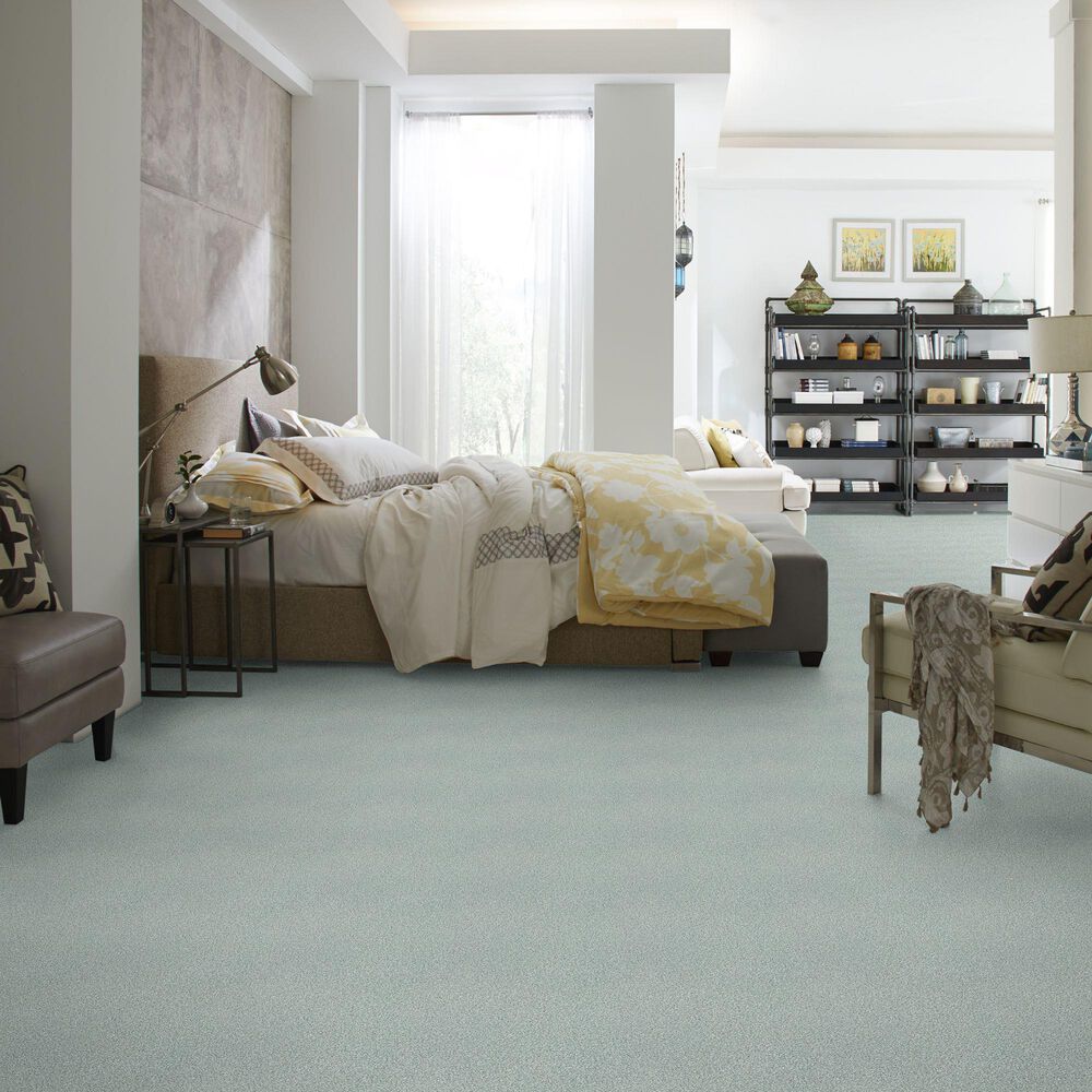 Shaw Find Your Comfort TT I Carpet in Distant Valley, , large
