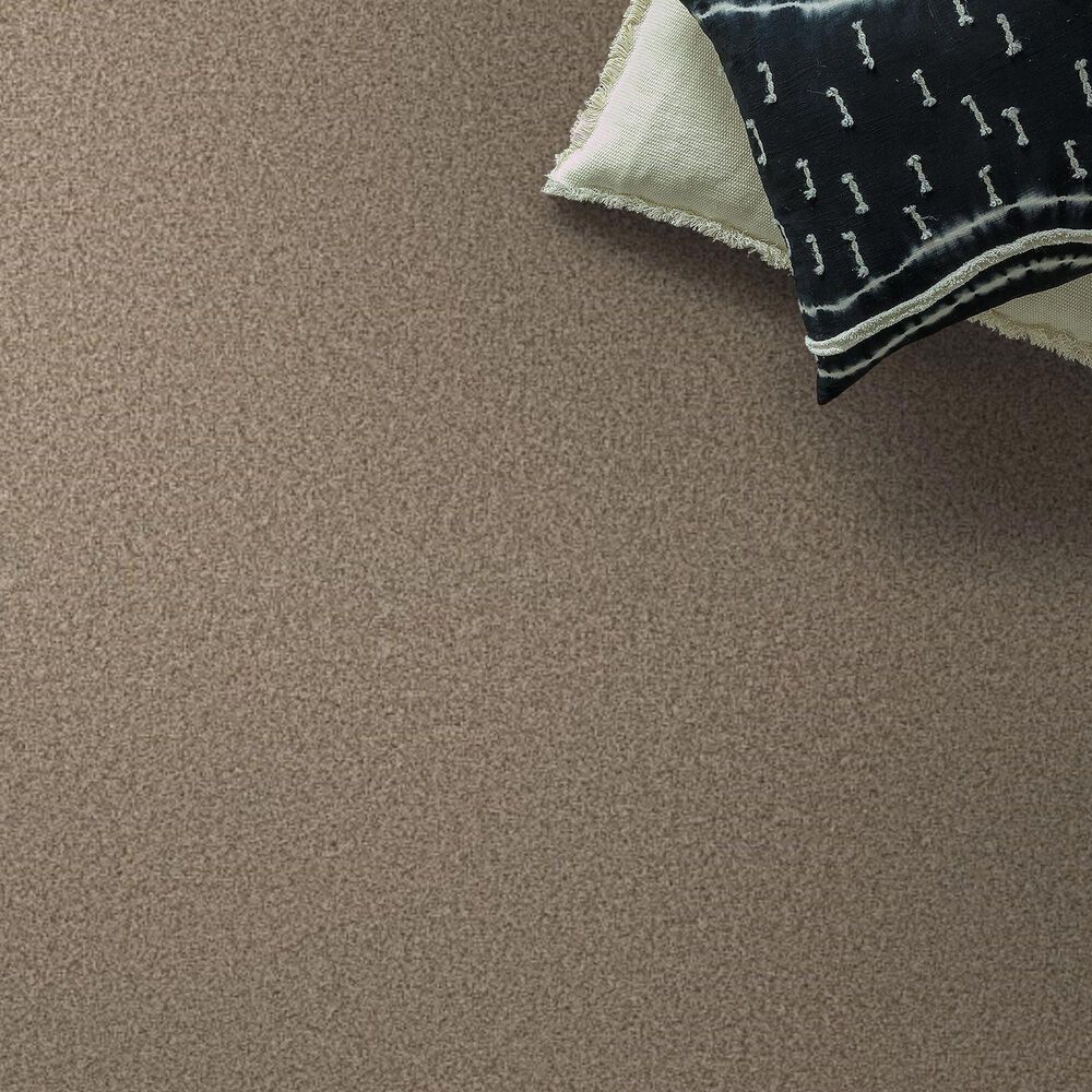 Anderson Tuftex Fabulous Carpet in Sugar Cookie, , large