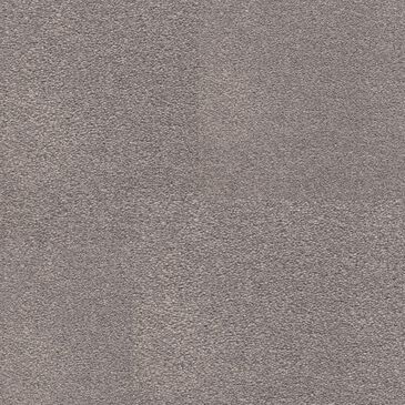 Dixie Home Neverland Carpet in Paloma, , large