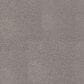 Dixie Home Neverland Carpet in Paloma, , large
