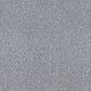 Dixie Home Gentle Wind Carpet in Mist, , large