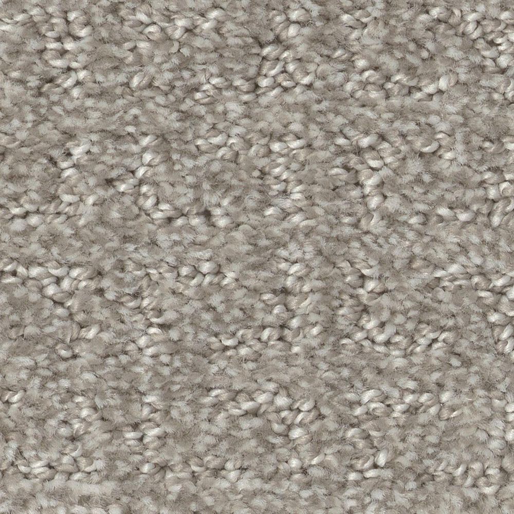 Shaw Simply the Best Transform Carpet in Fossil, , large