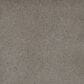 Dream Weaver Serene I Carpet in Ozark, , large