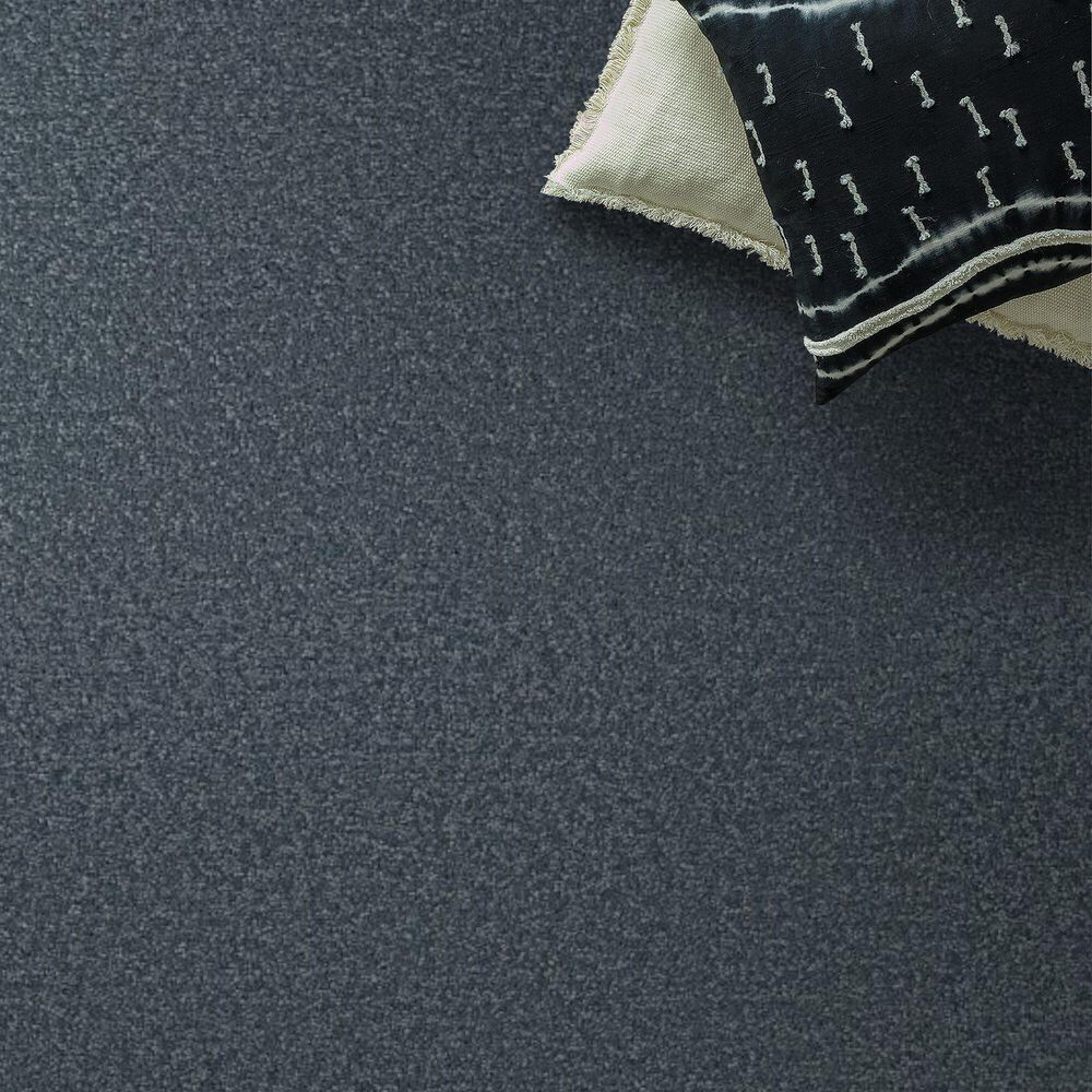 Shaw Posh Life Carpet in Refined, , large