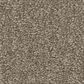 Shaw Las Cruces Carpet in Barn Wood, , large