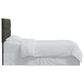 Skyline Furniture Queen Headboard in Velvet Pewter, , large