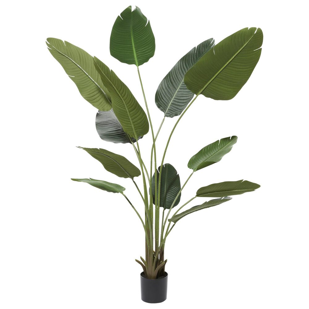 Maple and Jade 70" Artificial Strelitziaceae Tree in Green, , large