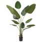 Maple and Jade 70" Artificial Strelitziaceae Tree in Green, , large