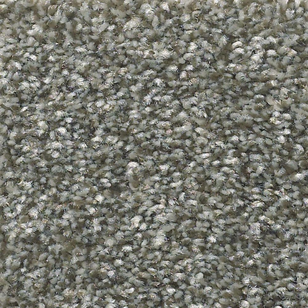 Shaw Simply the Best Attainable Carpet in Cedar Ridge, , large