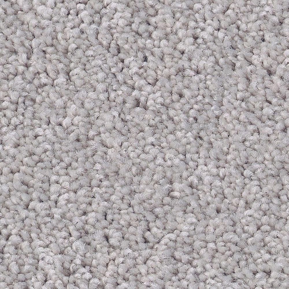 Shaw Las Cruces Carpet in Gateway, , large