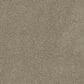 Dream Weaver Rock Solid Iii Carpet in Buff, , large