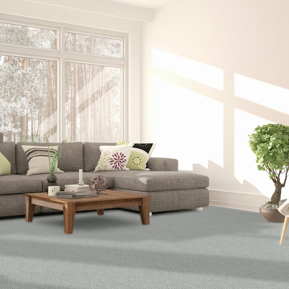 Dream Weaver Breakview I Carpet in Milestone, , large
